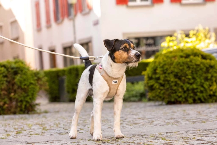 Varnost na vsakem koraku