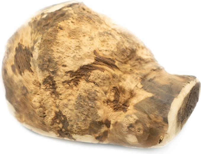 Explorer Dog naravni žvečilni koren vresa za pse XL