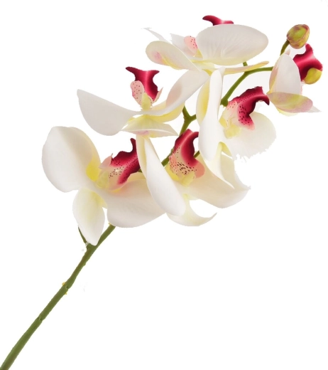 Umetna bela orhideja 72 cm