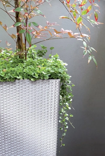 Moderna ratanova tekstura za notranje in zunanje prostore