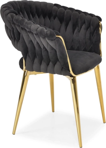 Razkošen žamet v globoki črnini