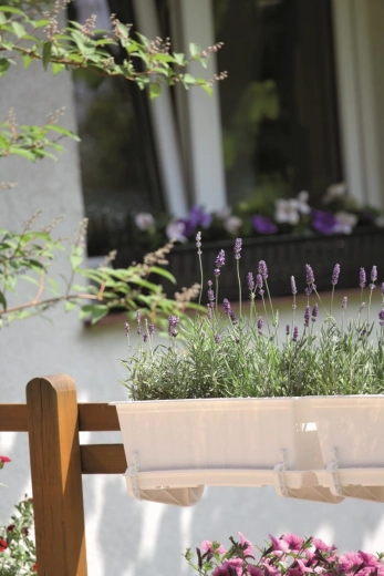 Praktična montaža na ograjo ali postavitev na polico