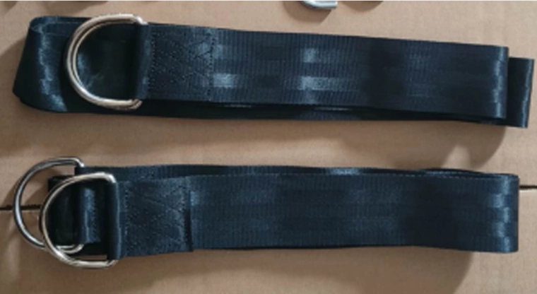 Viseči pasovi Sunwaal za gugalne stole, 2 m, komplet 2 kos s karabinami