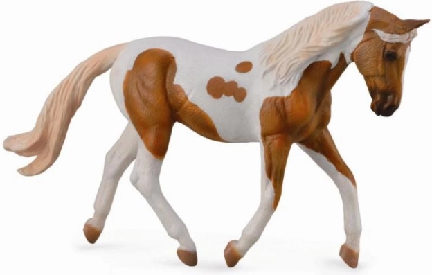 Collecta žrebe palomino