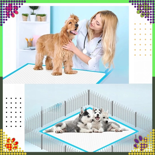 Čistoča doma in na poti