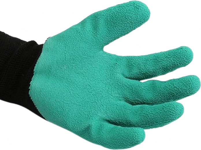 Nedrseč in odporen dlan