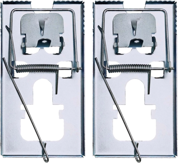 Lesena past za miši, komplet 2 kosa