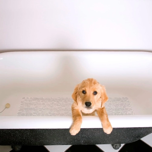 Udobje in zaščita stopal