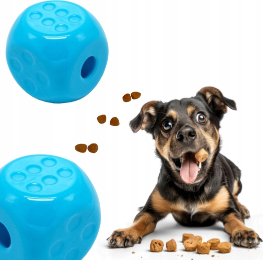 Zabava in trening v enem