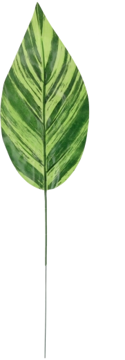 Set 12 umetnih zelenih vejic 48 × 12 cm