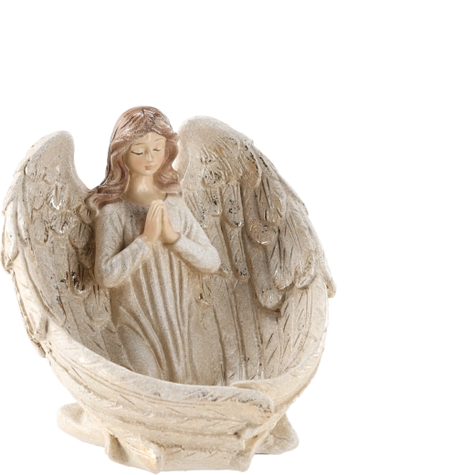 Detailed wide wings