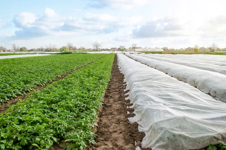 Zanesljiva zaščita pred spomladanskimi pozebami