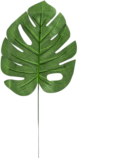 Umeten list monstere 35 cm