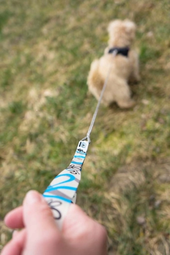 Odporna nerjavna karabinka