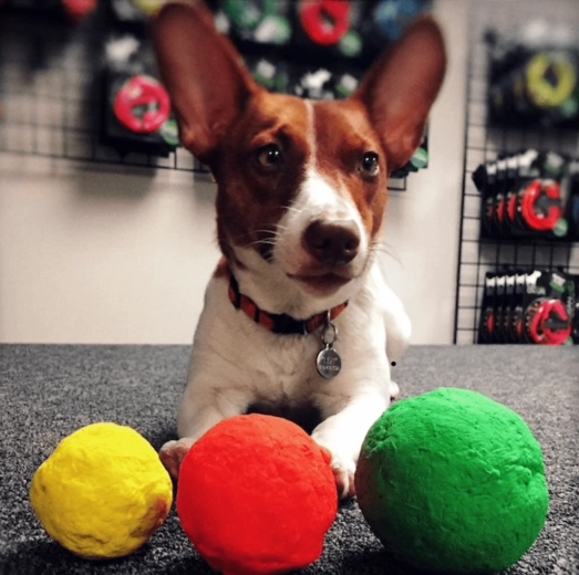 Zabava doma, na prostem in v vodi