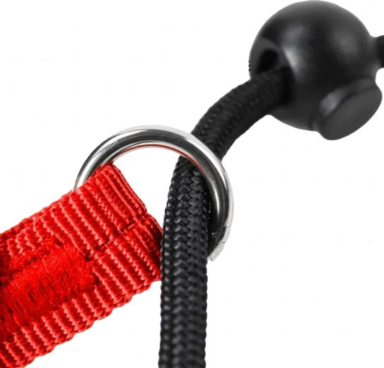 Nastavljiva zanka z omejevalniki