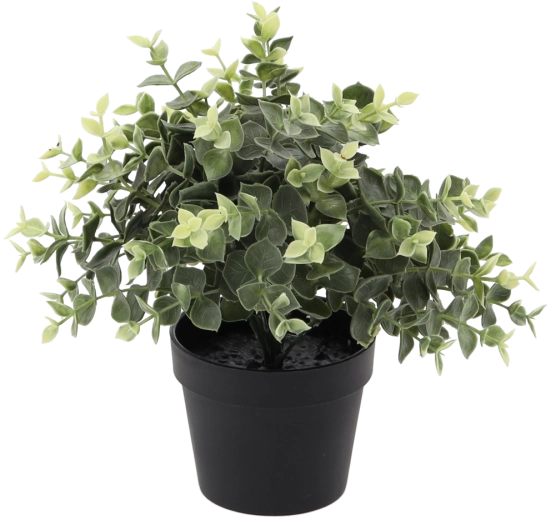 Umetni evkaliptus v lončku 22 cm