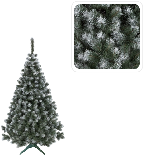 Dense needles for a full appearance