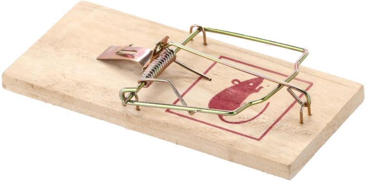 Vzdržljiva lesena osnova