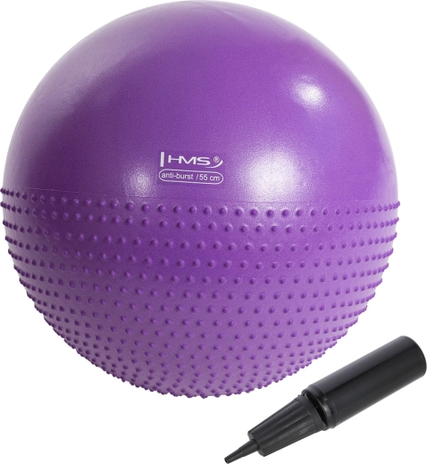 Masažna gimnastična žoga HMS YB03N 55 cm vijolična
