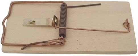 Lesena past za podgane z varnostnim nosilcem za vabo