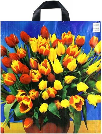 Potiskana plastična nakupovalna vrečka s trakastim ročajem 43 × 48 cm - 1 kos