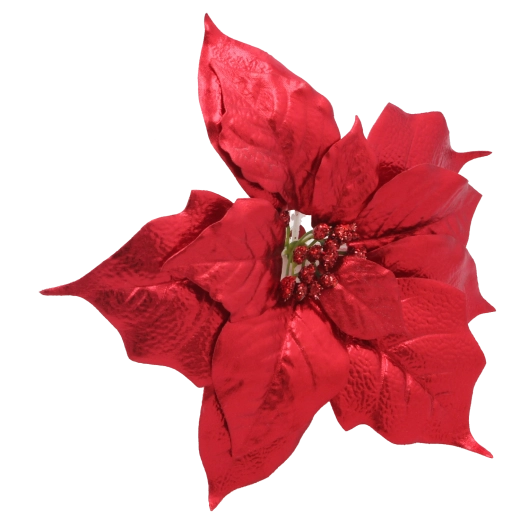 Vsestranska praznična dekoracija