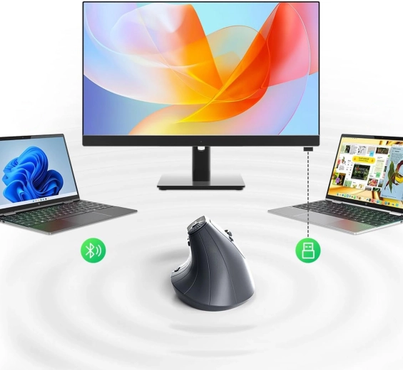 Bluetooth and 2.4 GHz wireless connectivity