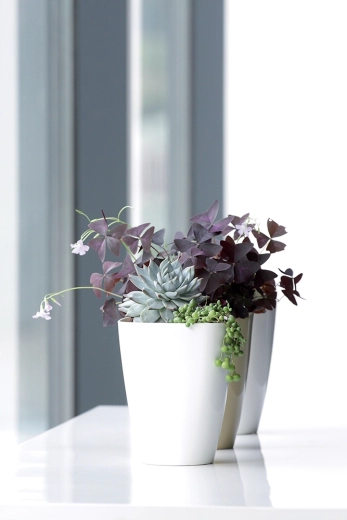 Stilski dodatek za interier in balkon