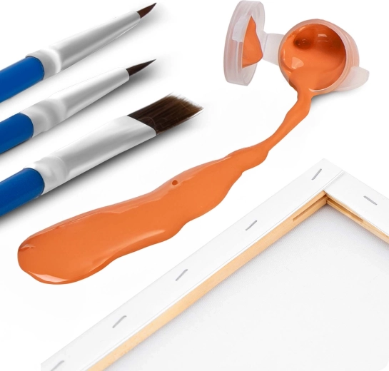 Celovit komplet, vključno s 3 čopiči in 30 barvami