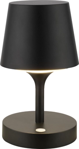 Zunanja LED vrtna svetilka Retlux RGL 117