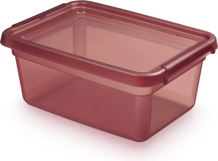 BASESTORE shranjevalna plastična škatla s pokrovom in sponkami 12,5 l rhubarb