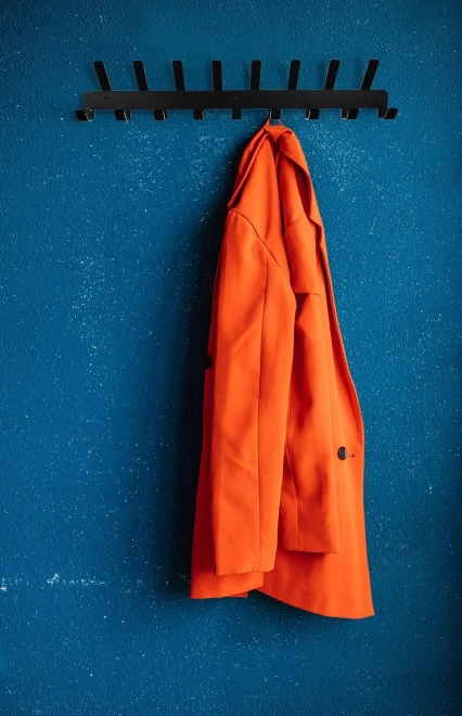 Stenska kovinska obešalna letva s 17 kljukami – črna