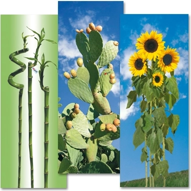 Gimi bombažna prevleka za likalno desko i love S/M 129 × 48 cm