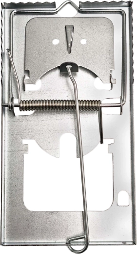 Past za podgane 160 × 8,6 × 8 cm