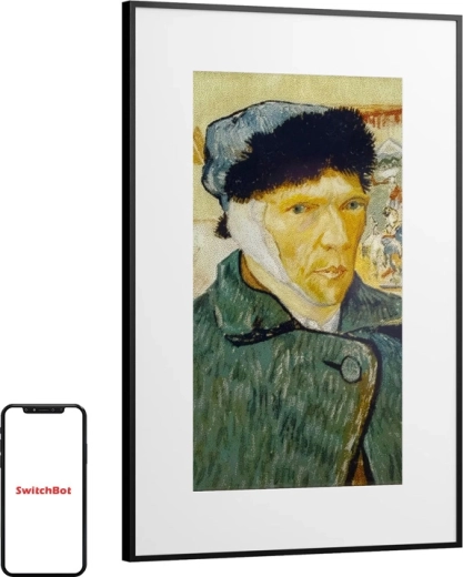 SwitchBot AI Art Frame 31,5" digitalni foto okvir