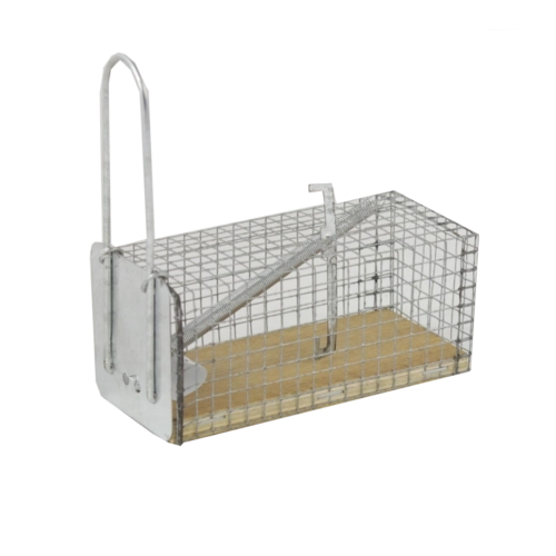 Živa past za miši in podgane 11 × 5,5 × 5,5 cm
