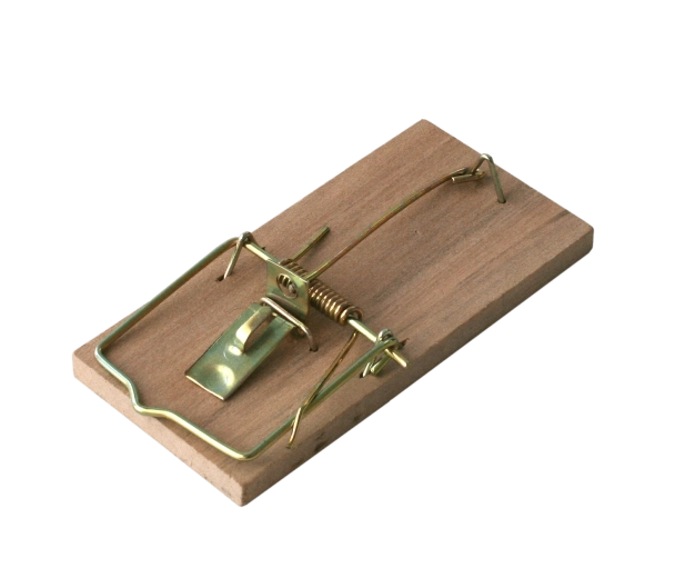 Lesena past za miši BROS