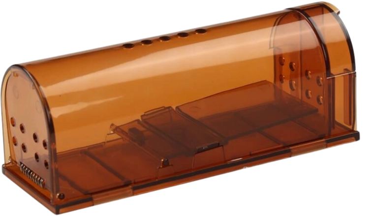 Humana živa past za miši in podgane, prozorna, 17 × 6,2 × 6,4 cm, 2 kosa