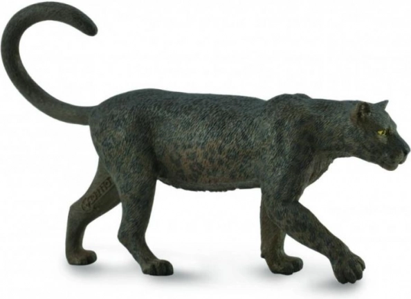 črni leopard