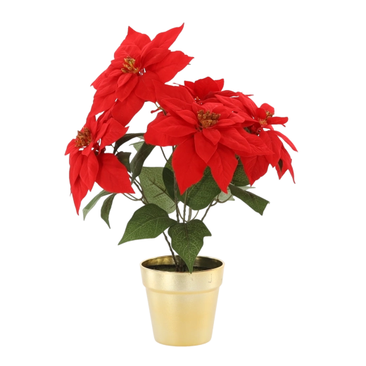 Umetna božična zvezda v zlatem lončku, 49 cm