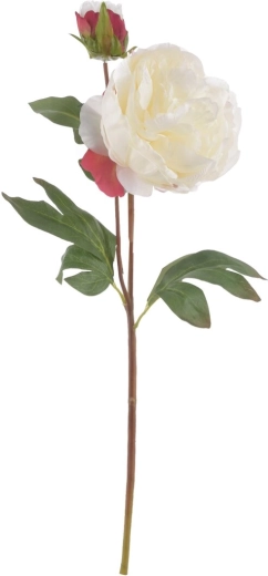 Umetna roža potonika bela 50 cm