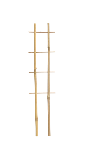 Bambusova dvojna opora za rastline 37 cm