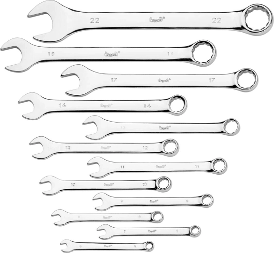 Set obročnih kombiniranih ključev 6–22 mm, 12 kosov