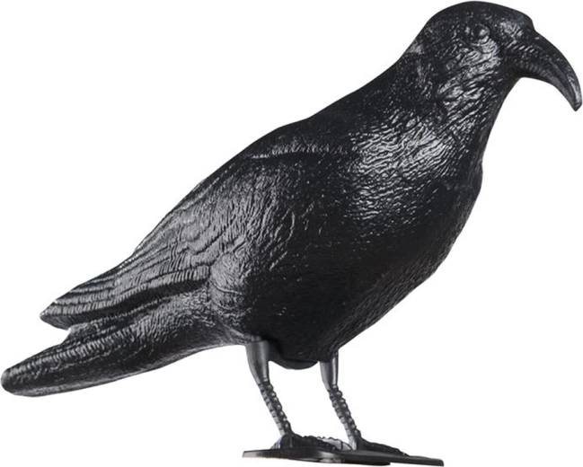 Plastični odganjalec golobov – krokar