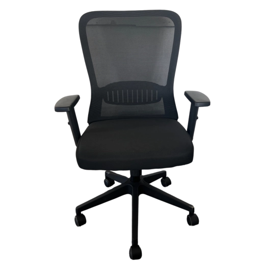 Ergonomski pisarniški stol DIANO, mreža, višinsko nastavljiv z naslonoma za roke