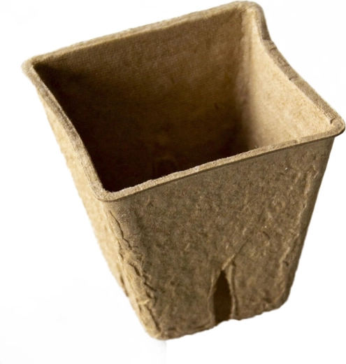 Enkratni šotni lonček 6 × 6 × 5,6 cm (20 kos)