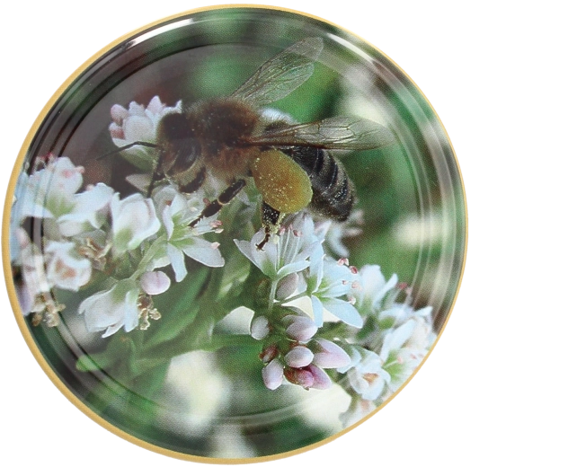 Komplet pokrovčkov Twist-off 82 mm z motivom čebele – 10 kosov