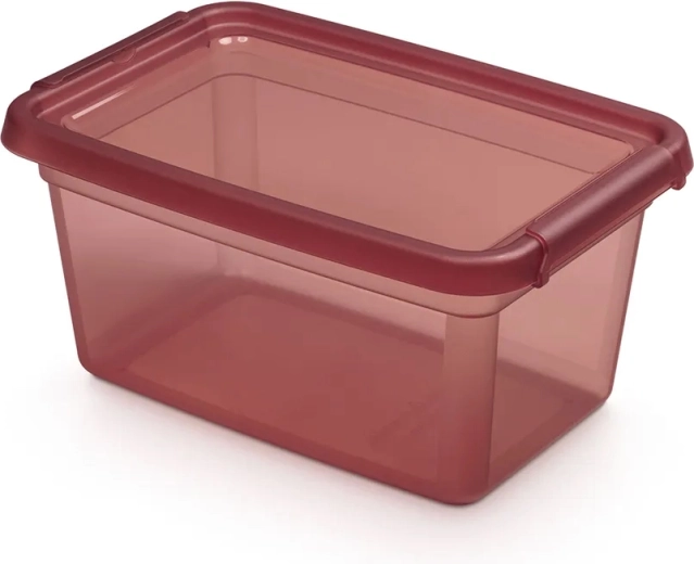 Basestore posoda za shranjevanje s pokrovom in sponkami 4,5 l rhubarb