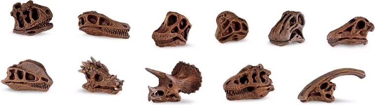 Safari Ltd. lobanje dinozavrov – komplet mini replik